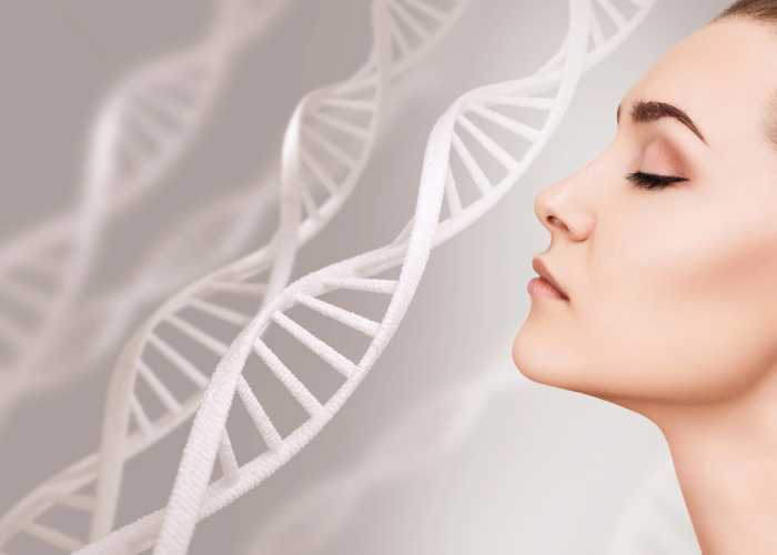 古特生物 古特生物