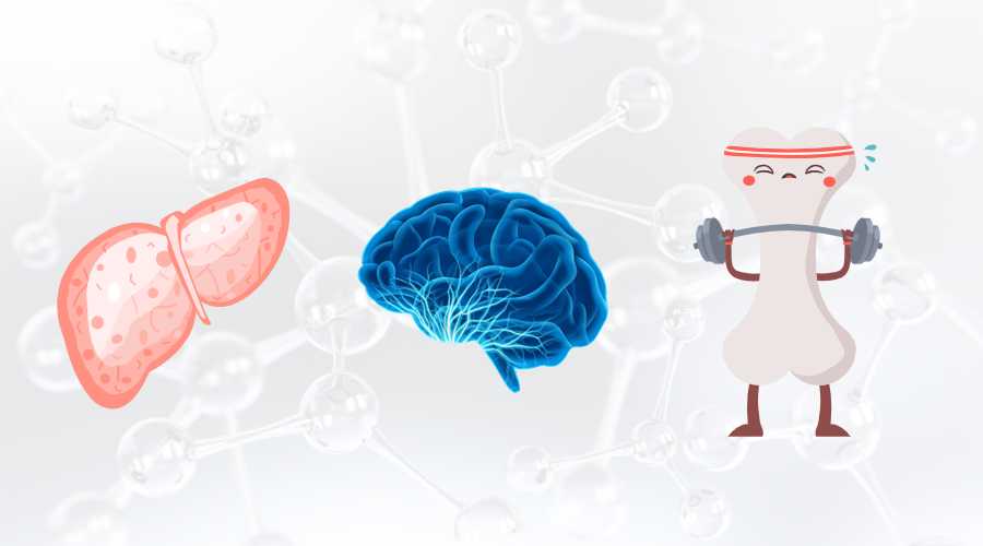 古特生物 SAM-e 對身體有什么作用?