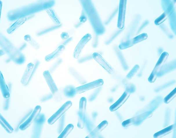 古特生物 NMN調(diào)節(jié)腸道菌群