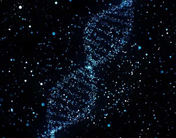 煙酰胺核糖氯化物有什么優(yōu)勢(shì)？