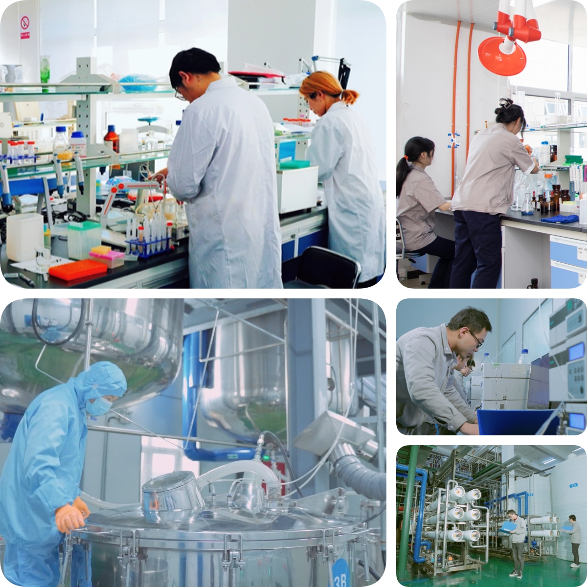 谷胱甘肽是怎么生產(chǎn)的？