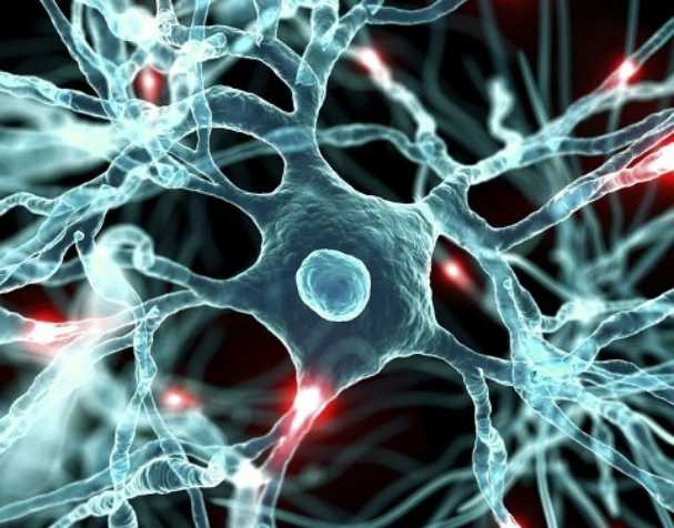 S-腺苷甲硫氨酸SAMe為心理健康帶來新可能