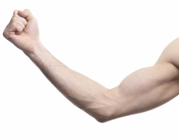 助肌肉功能維護(hù) 助肌肉功能維護(hù)