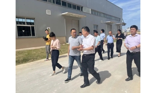 市委常委、副市長(zhǎng)呂棟來(lái)公司調(diào)研