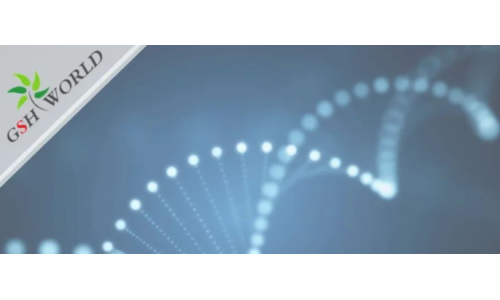 行業(yè)關(guān)注 - 胞磷膽堿保護大腦的7大好處