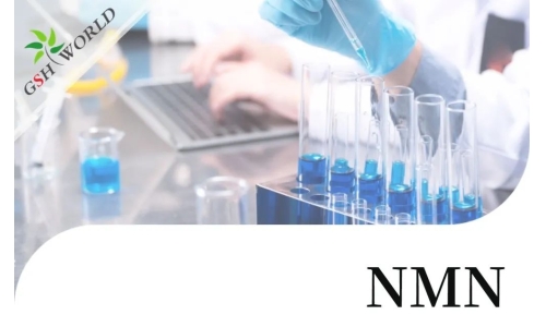 行業(yè)關注 - NMN最新研究進展