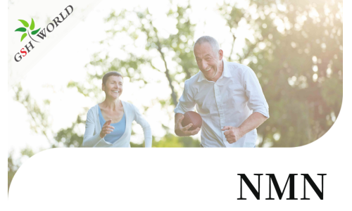 行業(yè)關注 - 那些年，有關NMN的臨床試驗