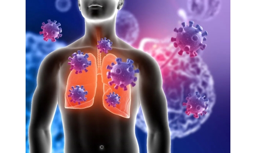 鐘南山：6月底將迎來二陽高峰！危害更大？NMN能有效抵御“二陽”！