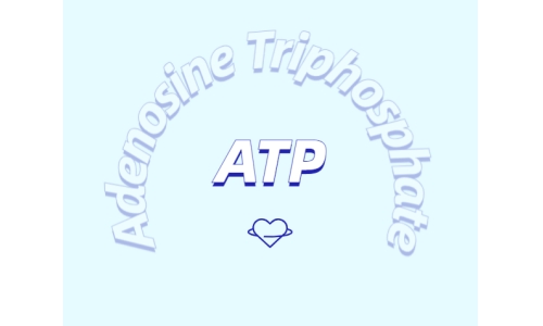 ATP有什么用？