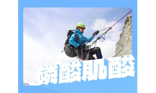 磷酸肌酸粉末有什么用途？