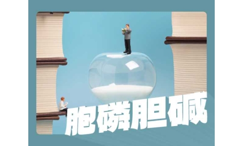 胞磷膽堿比膽堿更好嗎？