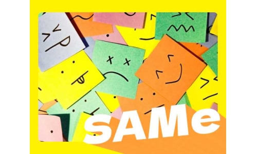 緩解情緒的幫手SAMe