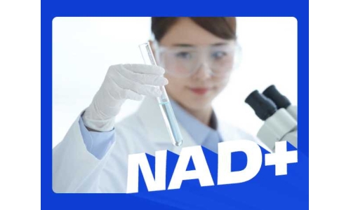 補NAD+，選對才有效